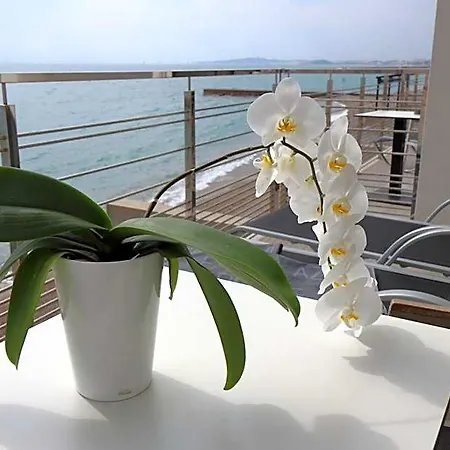 Azur