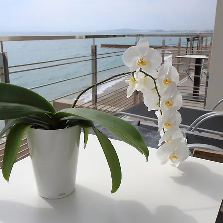 Azur 4* Villeneuve-Loubet